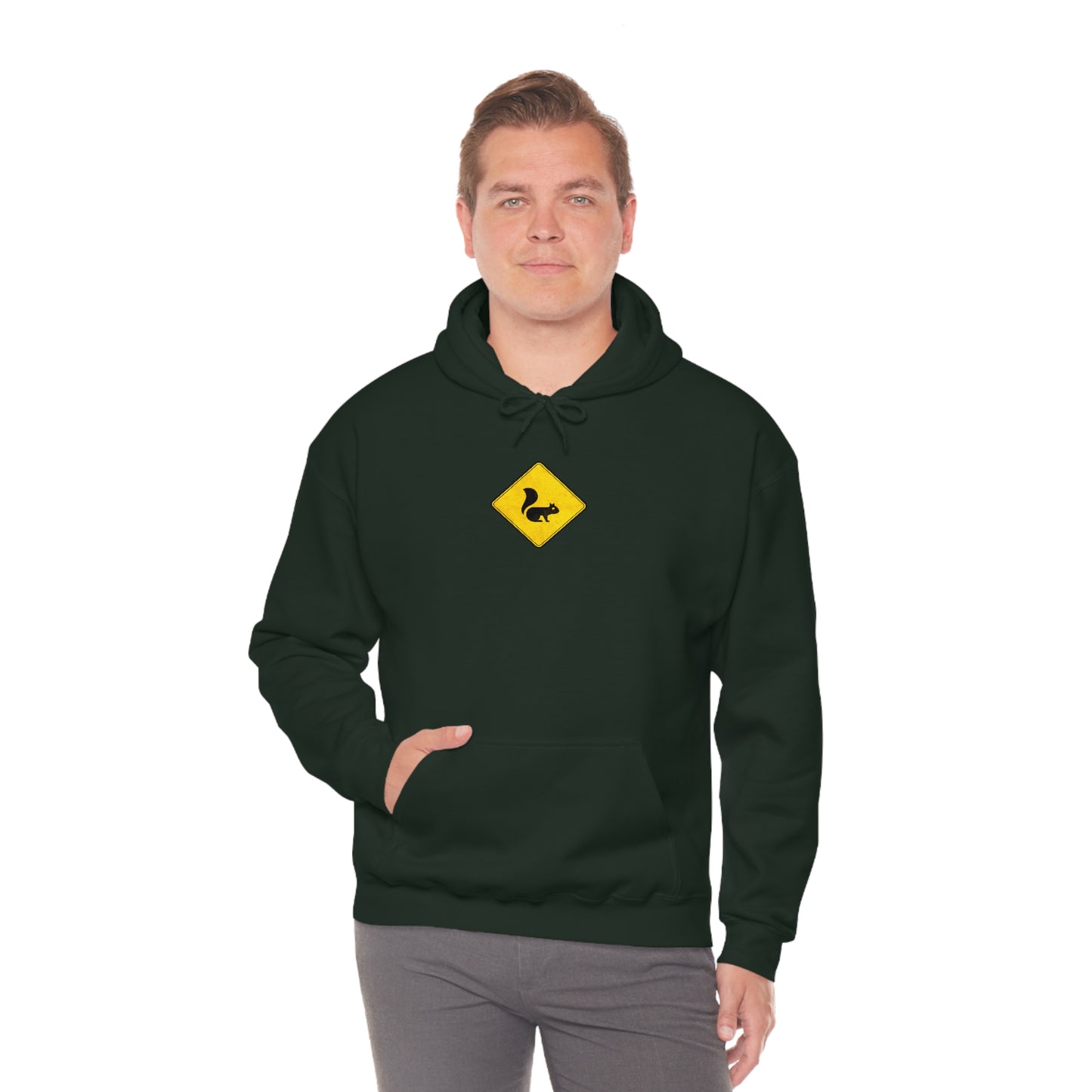 Drive a Loud Car (3XL+) Hoodie