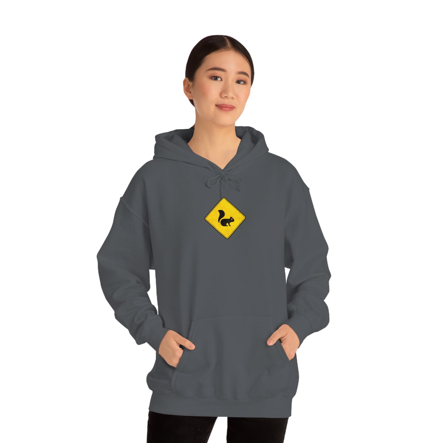 Drive a Loud Car (3XL+) Hoodie