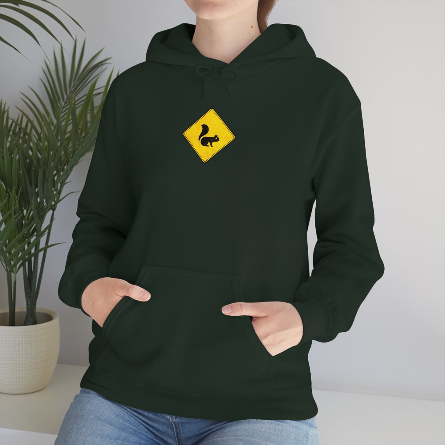 Drive a Loud Car (3XL+) Hoodie