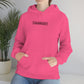 Shermanator Hoodie (3XL+)